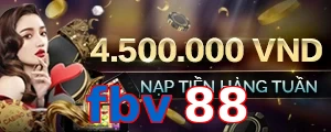 fbv88